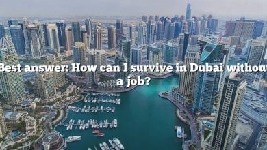 Best answer: How can I survive in Dubai without a job?