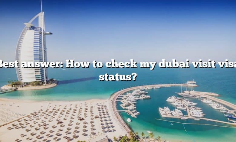 Best answer: How to check my dubai visit visa status?