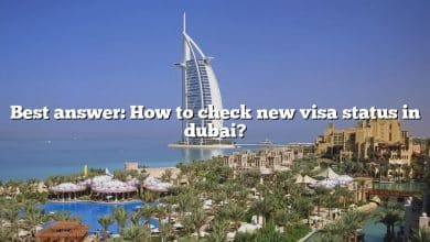 Best answer: How to check new visa status in dubai?