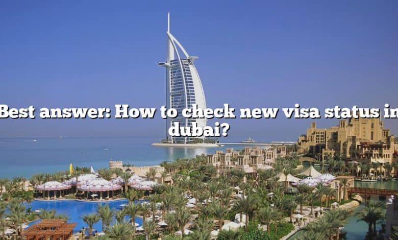 Best answer: How to check new visa status in dubai?