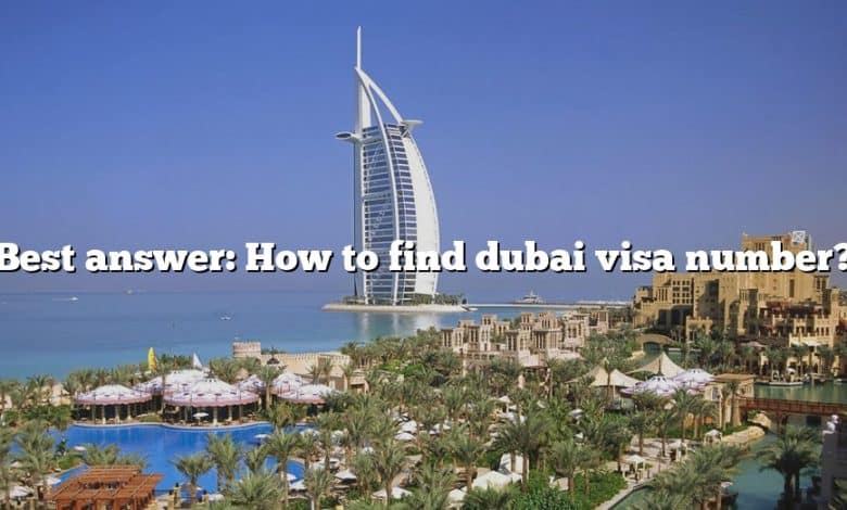 Best answer: How to find dubai visa number?