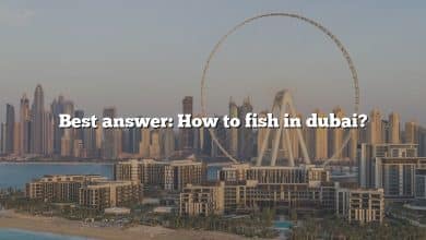 Best answer: How to fish in dubai?