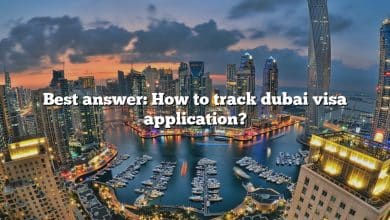 Best answer: How to track dubai visa application?