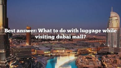Best answer: What to do with luggage while visiting dubai mall?