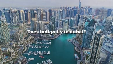 Does indigo fly to dubai?