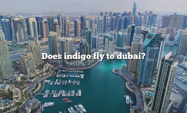 Does indigo fly to dubai?