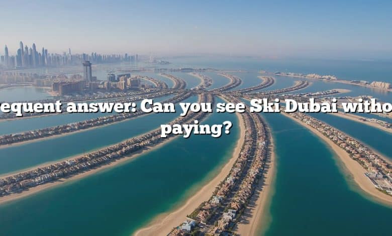 Frequent answer: Can you see Ski Dubai without paying?