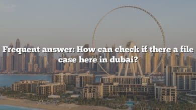 Frequent answer: How can check if there a file case here in dubai?