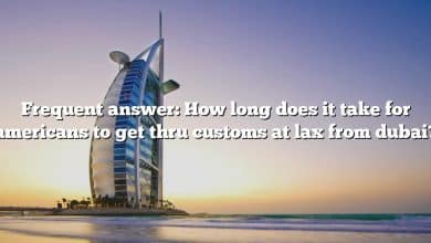 Frequent answer: How long does it take for americans to get thru customs at lax from dubai?
