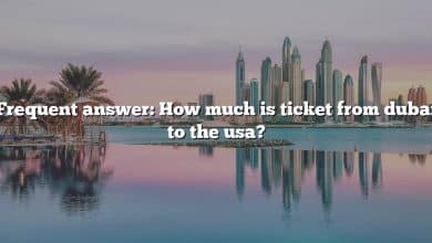 Frequent answer: How much is ticket from dubai to the usa?