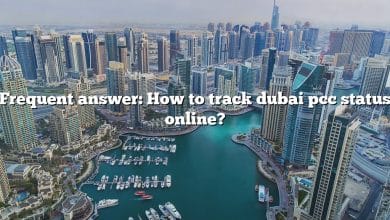 Frequent answer: How to track dubai pcc status online?
