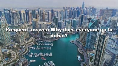 Frequent answer: Why does everyone go to dubai?