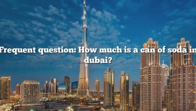 Frequent question: How much is a can of soda in dubai?