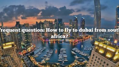 Frequent question: How to fly to dubai from south africa?