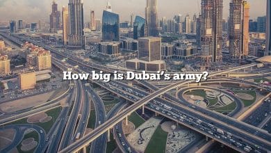 How big is Dubai’s army?