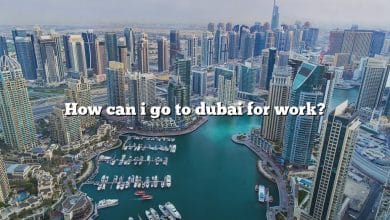 How can i go to dubai for work?