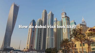 How do dubai visa look like?