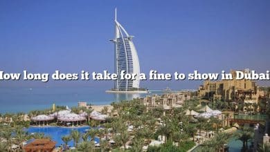 How long does it take for a fine to show in Dubai?