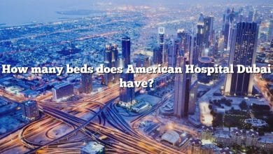 How many beds does American Hospital Dubai have?