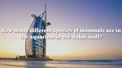 How many different species of mammals are in the aquarium in the dubai mall?