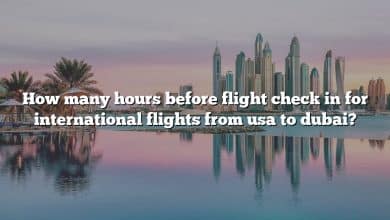 How many hours before flight check in for international flights from usa to dubai?