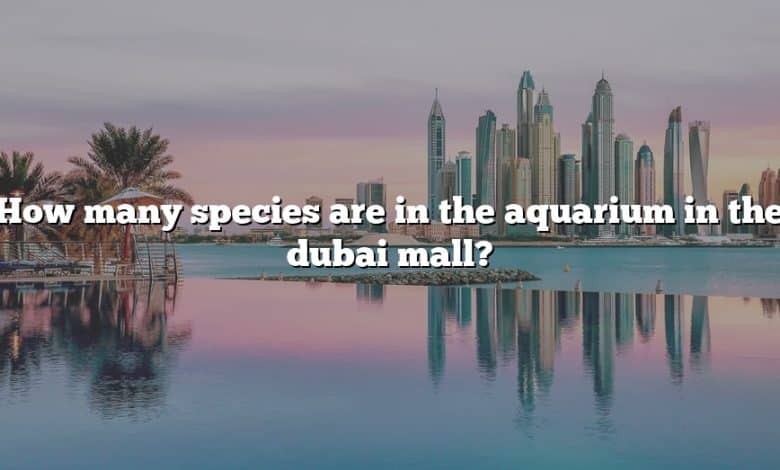 How many species are in the aquarium in the dubai mall?