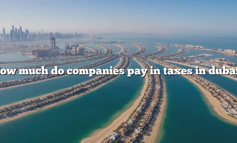 How much do companies pay in taxes in dubai?