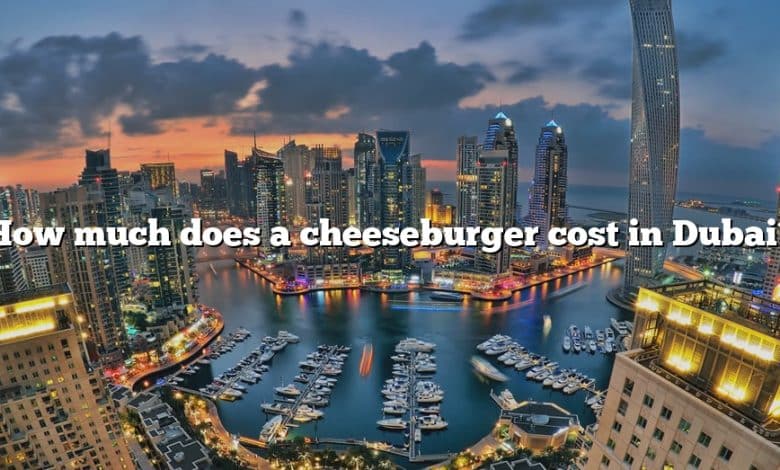 How much does a cheeseburger cost in Dubai?