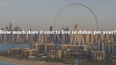 How much does it cost to live in dubai per year?