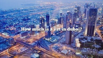 How much is a vet in dubai?