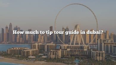 How much to tip tour guide in dubai?