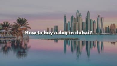 How to buy a dog in dubai?