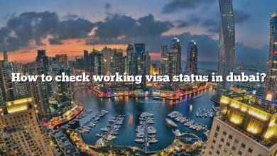 How to check working visa status in dubai?