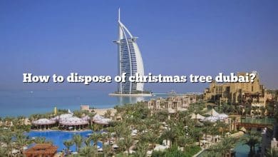 How to dispose of christmas tree dubai?