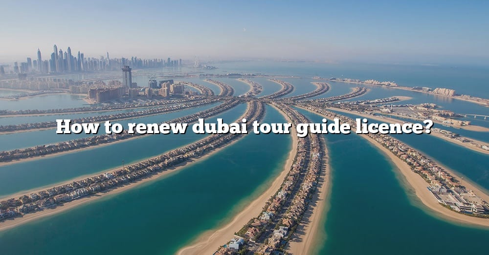 how to renew tour guide license online