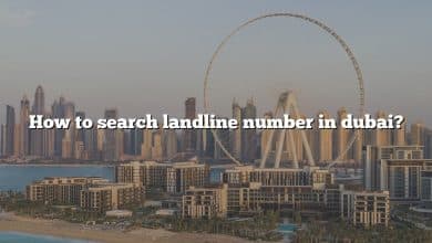 How to search landline number in dubai?