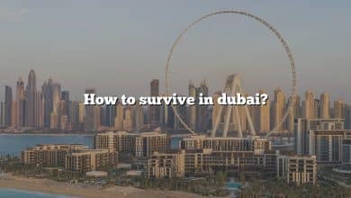 How to survive in dubai?
