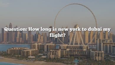 Question: How long is new york to dubai my flight?