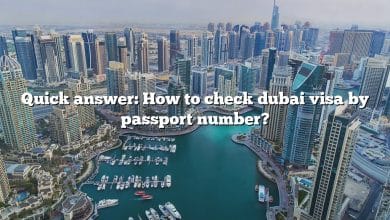 Quick answer: How to check dubai visa by passport number?