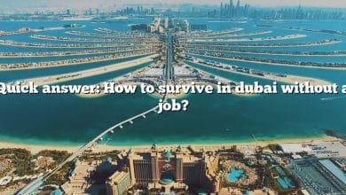 Quick answer: How to survive in dubai without a job?