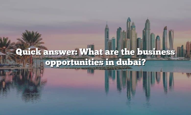 Quick answer: What are the business opportunities in dubai?