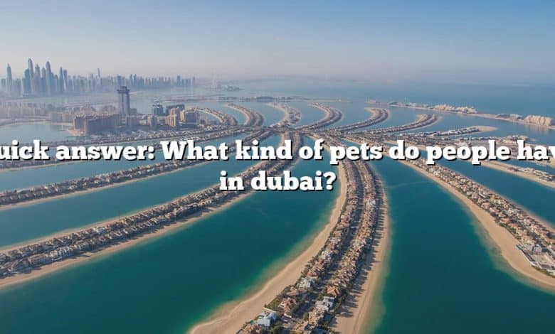 Quick answer: What kind of pets do people have in dubai?