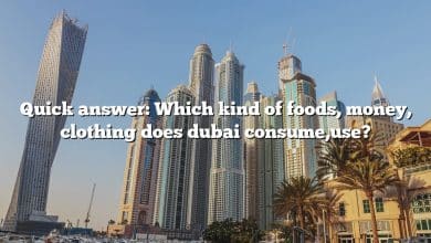 Quick answer: Which kind of foods, money, clothing does dubai consume,use?