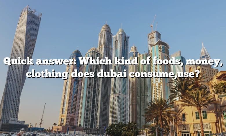 Quick answer: Which kind of foods, money, clothing does dubai consume,use?