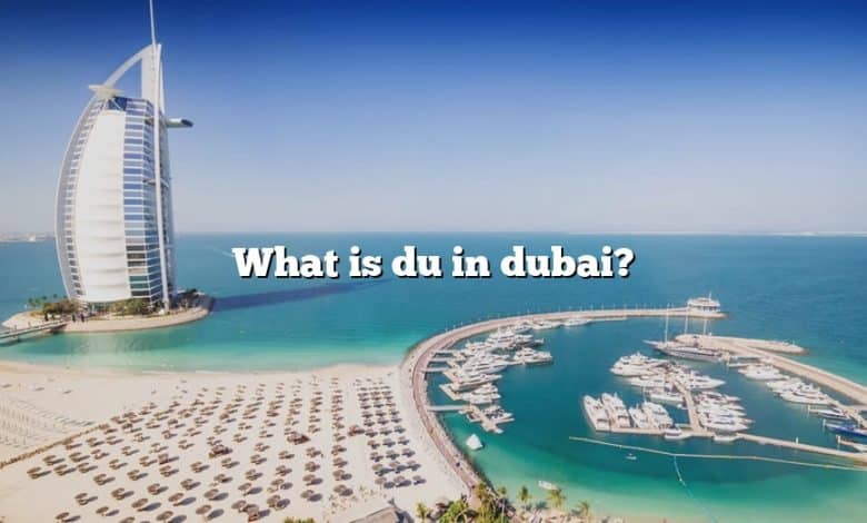 What is du in dubai?