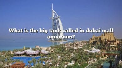 What is the big tank called in dubai mall aquarium?