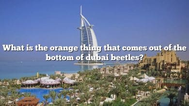 What is the orange thing that comes out of the bottom of dubai beetles?