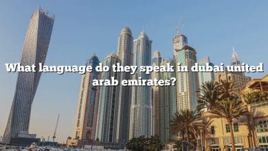 What language do they speak in dubai united arab emirates?