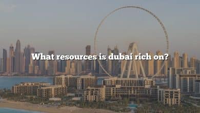 What resources is dubai rich on?