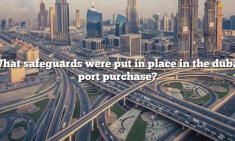 What safeguards were put in place in the dubai port purchase?